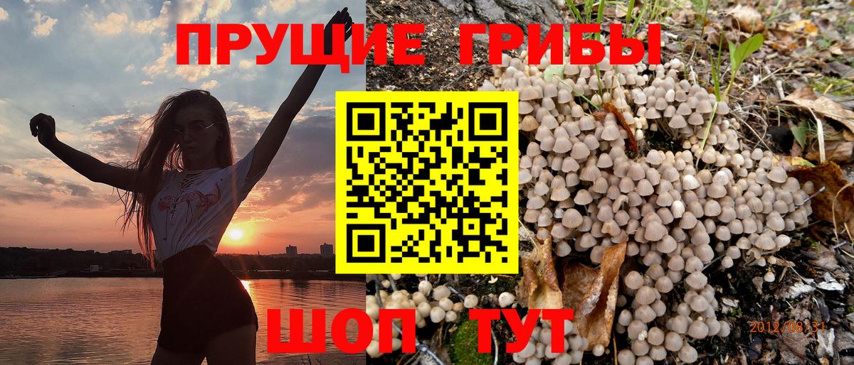 Псилоцибиновые грибы мухоморы  Вход с VPN  Псков 